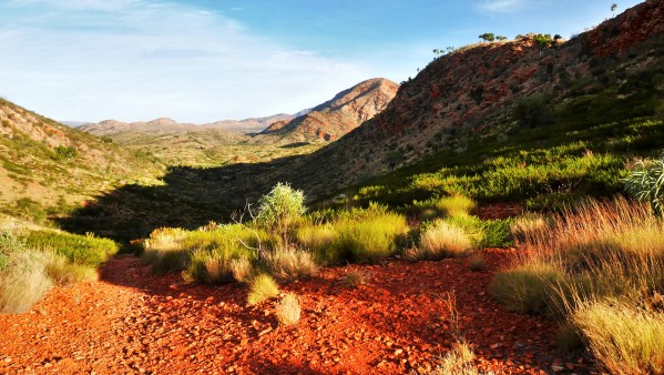 Pound Track - Ormiston Gorge by Lexa Harpell